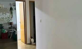 Imagem 7: Alugo ótimo apartamento mobiliado com 3 quartos no Bairro da Encruzilhada / Recife - PE