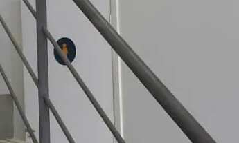 Imagem 4: LOJA - MORUMBI - SP