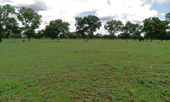Imagem: Fazenda dupla aptidão com 243 hectares