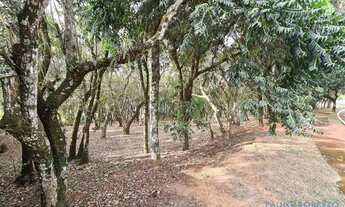 Imagem 5: TERRENO EM CONDOMÍNIO - VILA DE SÃO FERNANDO - SP