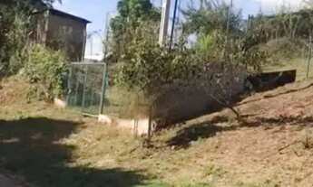 Imagem 2: TERRENO - CHÁCARAS SILVANIA - SP