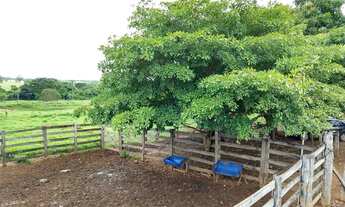 Imagem 6: Vendo Chácara em Mutunópolis GO