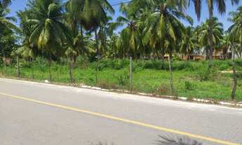 Imagem 5: Lotes na Barra Nova , metragem 8x22