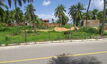 Imagem 3: Lotes na Barra Nova , metragem 8x22