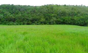 Imagem: Chácara 20.000m² com córregos nos fundos