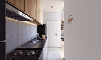 Imagem 7: Bairo Pedra Branca - Apartamentos com 02 dormitórios