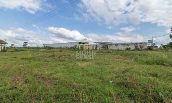 Imagem 6: Área em São Jose Dos Pinhais 14.396,30 m²