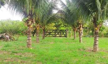 Imagem 7: Sítio em Catu, Bahia, local conhecido como "40", após restaurante Estação da cod