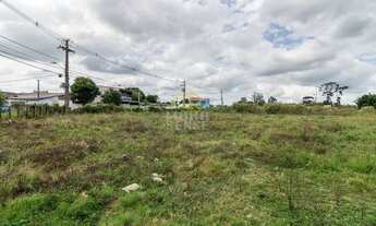 Imagem 5: Área em São Jose Dos Pinhais 14.396,30 m²