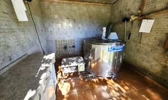 Imagem 7: Sítio São Francisco