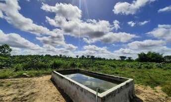 Imagem 4: 35alqueires com 28 alqueires de pasto prontos no Pará R$ 1.6 milhões
