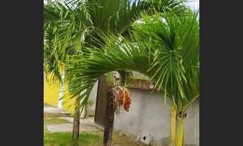 Imagem 3: Alugo ou Vendo Casa Dúplex 3/4para venda em Arembepe Camaçari - Bahia