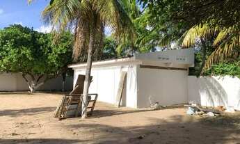 Imagem 7: Granja em Macaíba/RN