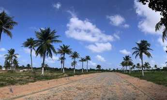 Imagem: RECANTO DOS PÁSSAROS LOTEAMENTO NO TRAIRI