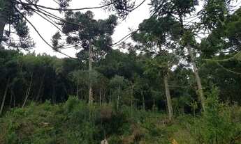 Imagem 6: Terreno 5 hectares