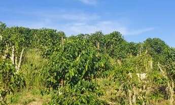 Imagem 4: Fazenda / Sítios / Chácaras com 5 dormitórios à venda em Varginha