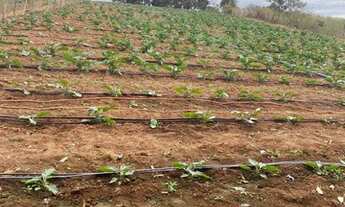 Imagem: Terreno para cultivo, com área de 9.000