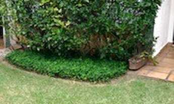 Imagem 4: Casa Maravilhosa e pronta para morar com 480 m² com 4 quartos no Sumaré - SP