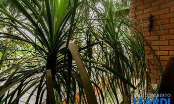 Imagem 4: APARTAMENTO - ALTO DA LAPA - SP