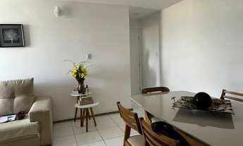 Imagem 11: Elevatto - Luzia *