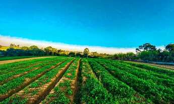 Imagem 3: Lote/Terreno para venda tem 500 metros quadrados em Recreio - Ibiúna - SP