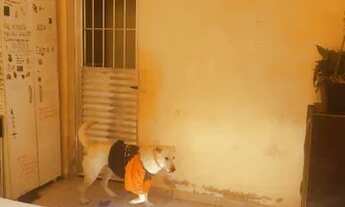 Imagem: Vende se urgente sobrado com 5 cômodos