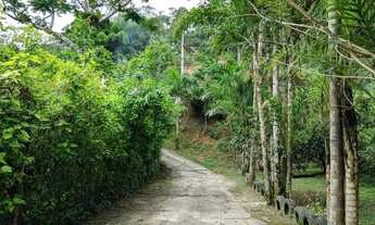 Imagem 7: Chácara na banqueta