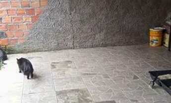 Imagem 2: Vende ou troca casa por sitio