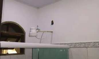 Imagem 3: Aluguel em Rio da Prata, Campo Grande