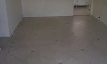 Imagem 2: APARTAMENTO NO CORAÇÃO DO CAMPOLIM