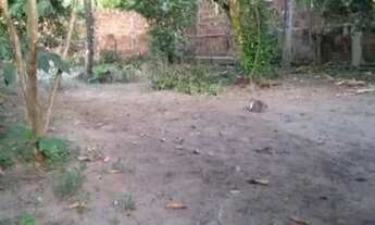 Imagem 3: Vende-se uma casa no conde