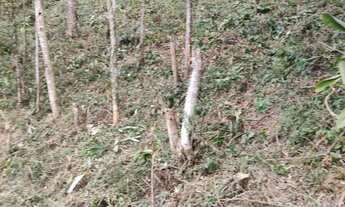 Imagem 5: Terreno c/393m² e escritura!