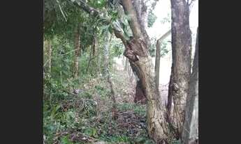 Imagem 4: Ponta de pedra Terreno / lote com venda por R$200.000