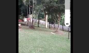 Imagem 4: Vende se um sítio no bairro Varjão.Pirai