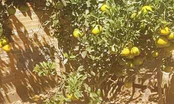 Imagem 3: Casa 26 de setembro