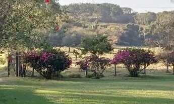 Imagem 4: Sitio raiz em Boituva, 4 alq 90% pasto