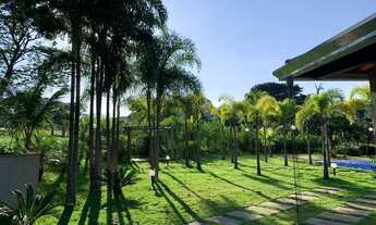 Imagem 5: Chácara em Varjão-Go