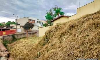 Imagem 6: TERRENO - JARDIM VILA ROSA - SP