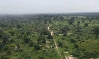 Imagem 5: Fazenda à Venda para Pecuária Pantanal Alto (Estrutura para Pousada) no Município de Pocon