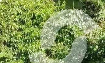 Imagem 6: TERRENO EM SÃO FRANCISCO