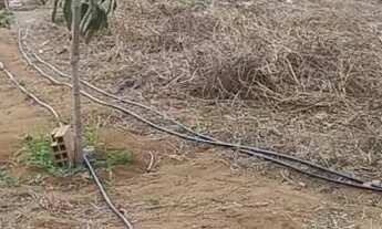 Imagem: TERRENO, VENDO OU TROCO NUM VEíCULO DE