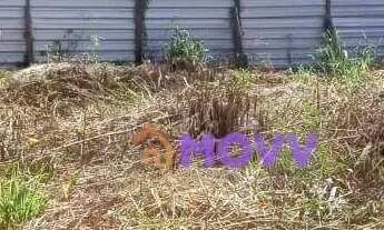 Imagem 2: Terreno à venda, 450 m² por R$ 550.000,00 - Maravista - Niterói/RJ