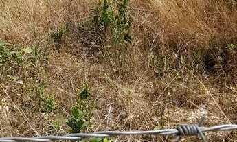 Imagem: Chácara em Ravena