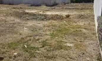 Imagem 7: Terreno com Ótima Topografia Villa Jardim