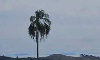 Imagem 3: Lotes a Venda em Jacareí