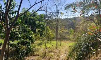 Imagem 2: Excelente terreno rural de 9,5 hectares, com casa, lagoa, pomar produzindo e curral