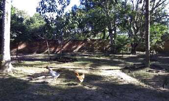 Imagem 4: Sítio no parque Santa Rita Dao Cristóvão