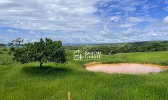 Imagem: Chácara 3 Alqueires à Venda Silvânia