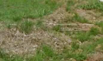 Imagem 7: Área Comercial a venda com 18.100,00m2 - Dois Córregos, Piracicaba