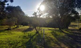 Imagem 5: Chácara em Mandirituba Com tanque